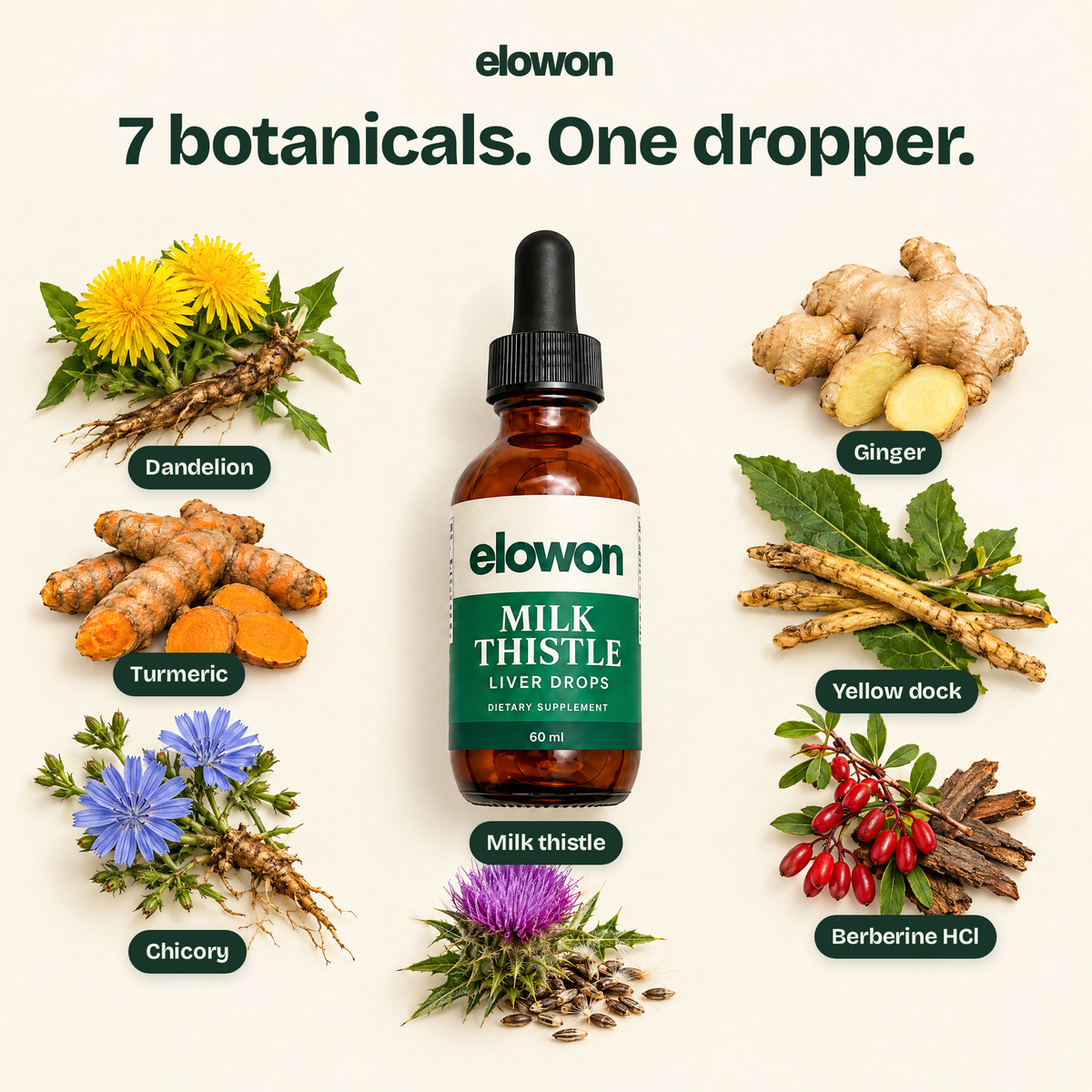 Elowon | Milk Thistle Liver Drops (60ml)